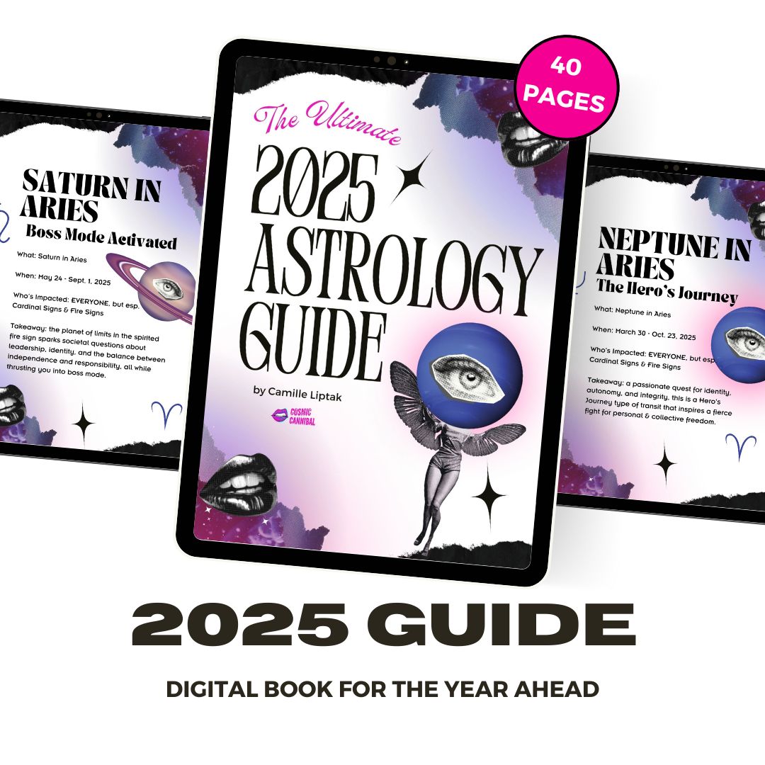 2025 Astrology Guidebook